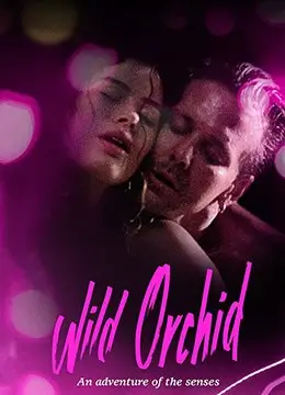 家门的秘密家庭韩剧在线看